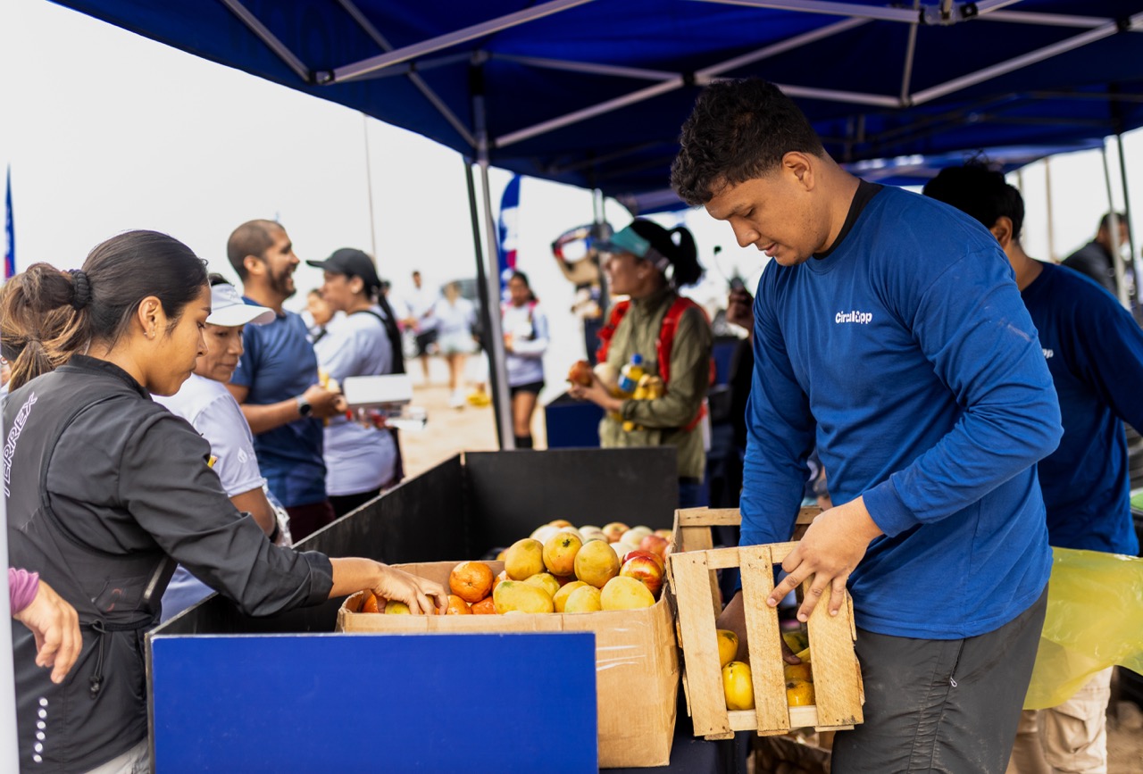 Materiales reciclables